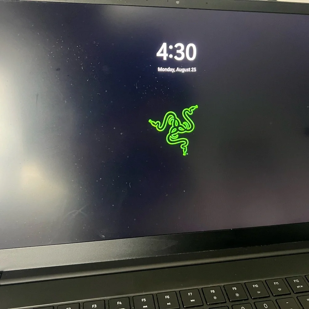 Razerblade 15 RTX 3060 1.5TB